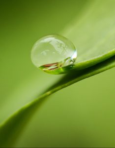 Bioresonanztherapie